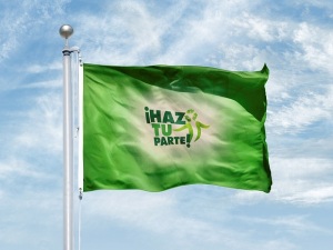 Bandera Verde, Comisión de Plásticos